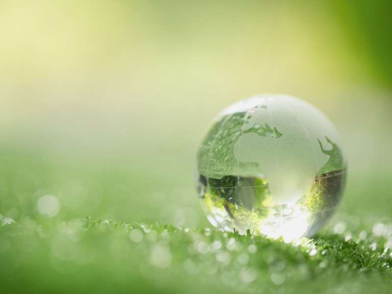 come far diventare green il tuo ufficio