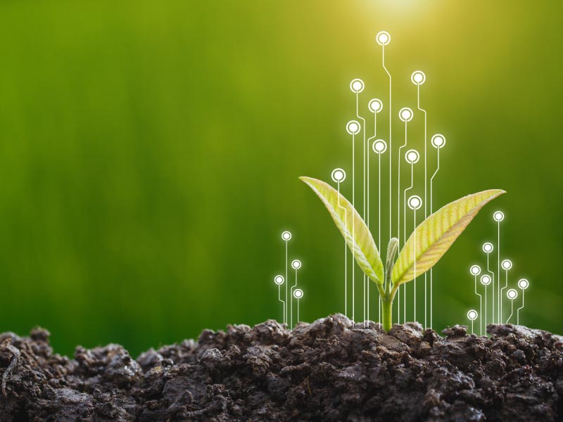 investimenti sostenibili 4.0 per le imprese