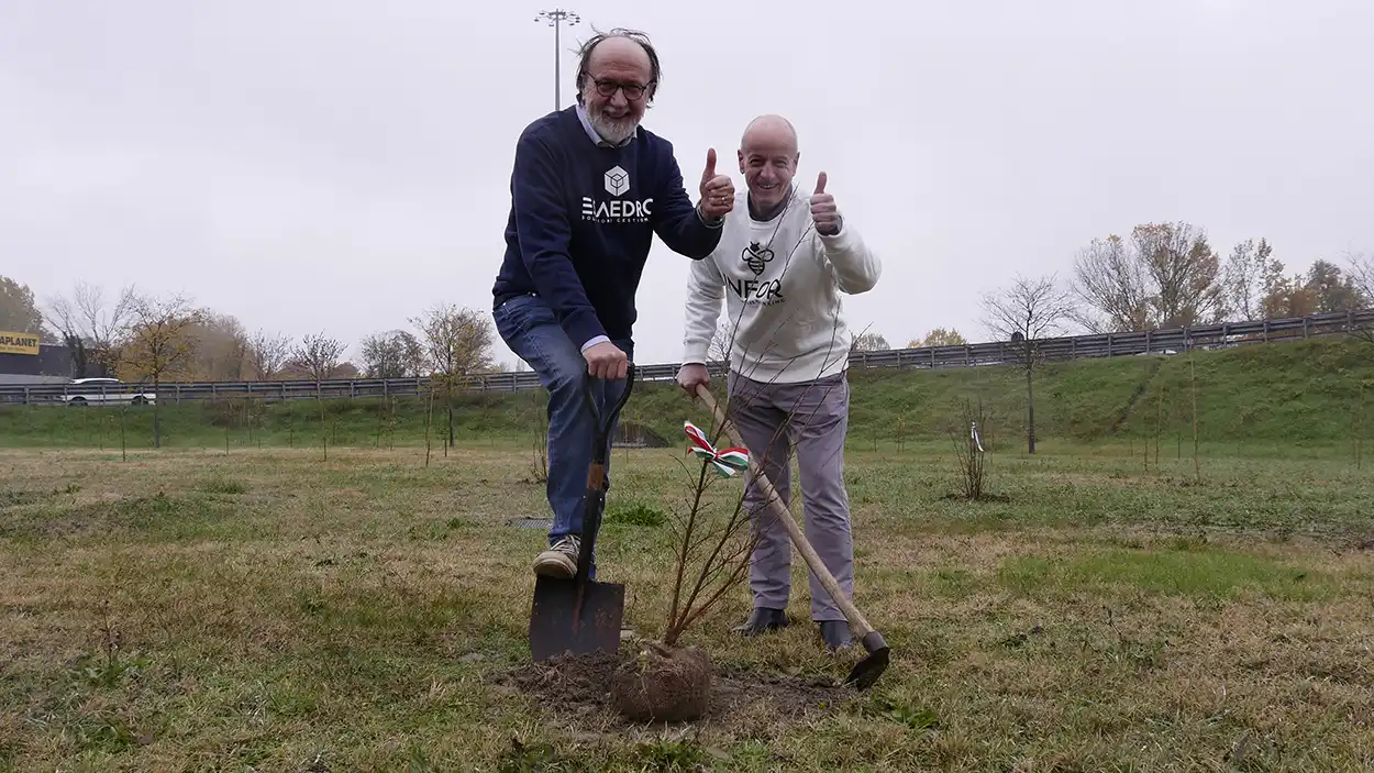 Infor Esaedro Bosco Urbano San Leonardo Parma