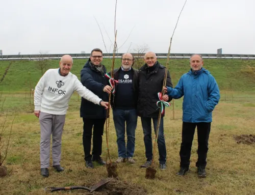 Esaedro ed Infor donano un nuovo bosco urbano alla città per il progetto KilometroVerdeParma