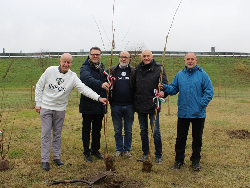 Infor ed Esaedro - Bosco Urbano Parma