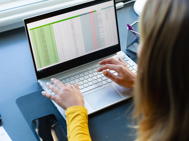 Microsoft Excel VS software gestionale